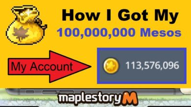maplestory private servers windows 10 compatible